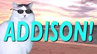 HAPPY BIRTHDAY ADDISON! - EPIC CAT Happy Birthday Song