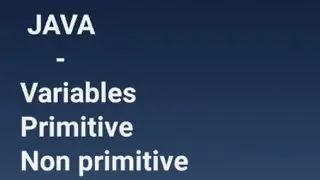 variable type and primitive and non primitive data type in java