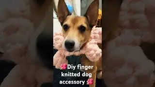 Flower dog accesory #fingerknitting #cute #diy #dog