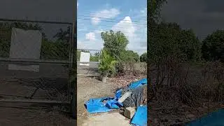 Vento 1533 metros en rozo por tardes caleñas