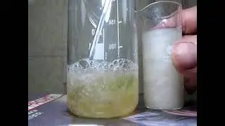 Галловая кислота и яичный белок