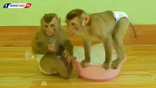 Obedient Monkey | Funny Baby Luna With Eating Ice And Play With Mom
