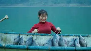 Giant Sweep Net Fishing &ndash; Huge Tilapia Catch on the Lake
