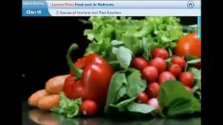 Virtual Integrated Learning Environments
