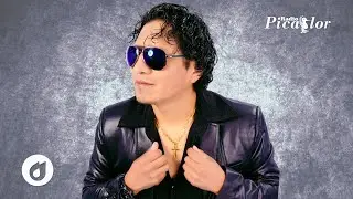 ♫ Y Llegaste T&uacute; - Alfredito Pauccara Cruz & Picaflor Latin Music / Electro 2026 (Audio Oficial)
