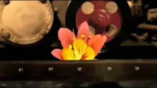 Neeky Funkzoid - R.U Neekyfied ?