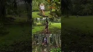 Hawaiian forest 🌳 #summeraesthetic #vacationmode #hawaiiisland #cinematic #travel #slowliving