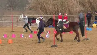 1 tappa trofeo lazio 2020- pony games club - circolo ippico 3 erre