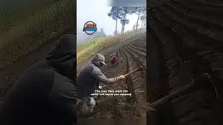 Farmers' Deep Earth Connection  A Must See Process!