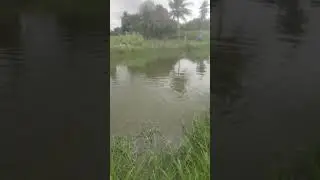 Minha barragem 