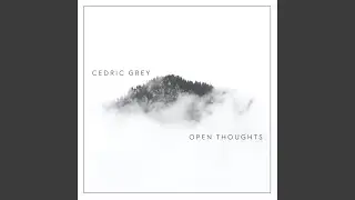 Open Thoughts