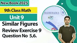 9th Class Math Unit 9 | Review Exercise 9 | Question 5,6 | 9th Math Book 2025