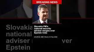 BREAKING: Slovakia PM's national security adviser resigns over Epstein links