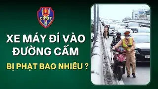 Xe Máy Đi Vào Đường Cấm Bị Phạt Bao Nhiêu? Cập Nhật Mức Phạt Mới Nhất