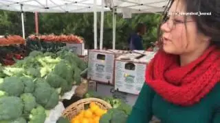 Rachel Rockholt, #UCDavis ag student, explains what's available from Capay Organic, #Marin farmers m