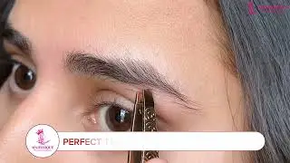 Majestique Slant Tip Tweezer, 3D Touch Precision Eyebrow Plucker #majestiquebeauty #hairremoval
