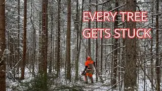 Finishing a Forest Trail with the Echo CS-4920 | Winter Forestry