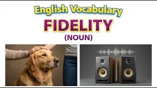 1107)  Fidelity  ... word meaning, synonym, antonym .... English vocabulary for SSC, CGL, CAT exam