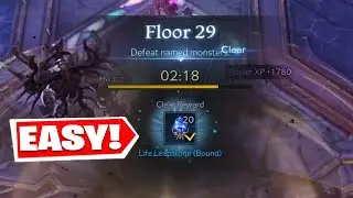 Tower Fatespire Floor 4,9,13,25,27,28,29 Lost ark