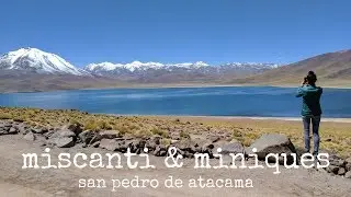 Miscanti Y Miniquees Lagoons [San Pedro de Atacama]