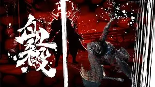 Ninja Gaiden 4 D.D.O. Commander Flawless