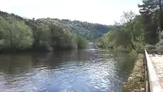 The Wye at The Old Ferrie Inn