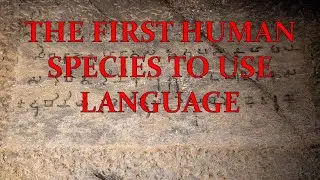 Which Human Species Was The First To Communicate Using Language?