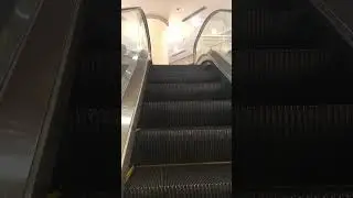 LG Escalator at Mutiara Complex 1-2 (going up)