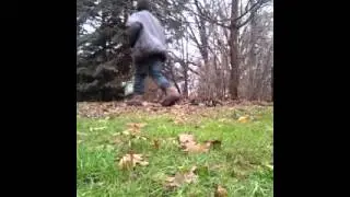 Cutting the tree with mac chainsaw