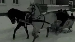 Najbolji Hrvatski Tamburaši - Zavijan je put za salaš moj