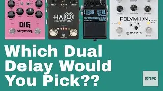 How Would You Pick a Dual Delay? Let Me Know!! #chooseyourownadventure