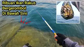 Istimewa...Mancing Di Dam Ijo Semarang Tepat Di Gerombolan Ikan Auto Panen