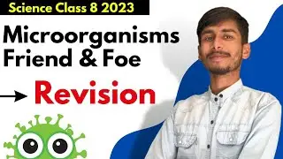REVISION 🦠 | Microorganisms Friend & Foe | Class 8 Science chapter 2 NCERT