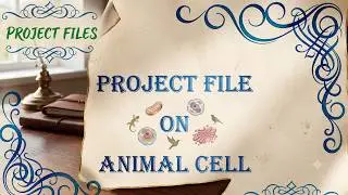 Project Files on Animal Cell @ProjectFiles1 #science #schoolproject