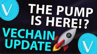 VECHAIN THE PUMP IS HERE!? | VECHAIN PRICE PREDICTION 2025 | VET PRICE PREDICTION | VET ANALYSIS