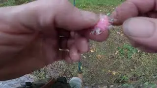 October 6, 2023 - Salmon River, Pulaski, NY - Fish are blowing through!!