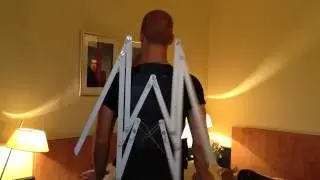 Cory Sylvester Mechanical Wings
