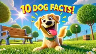 10 Fun Facts About Dogs for Kids | Educational Animal Videos for Kids & Preschoolers