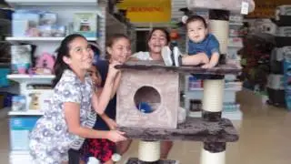 COMERCIAL AMERICAN PETS 2016