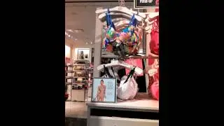 Sociology Experiment In Victoria's Secret