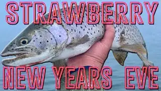Strawberry Reservoir (WINTER FISHING on NEW YEARS EVE) PT1