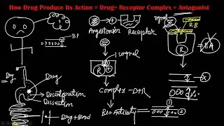 Drug Receptor Complex | Mechanism of Competitive Antagonist | Drug + Receptor Complex | Receptors
