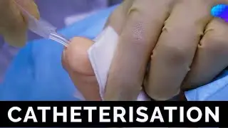 Urinary Catheterisation Male |OSCE guide|Plab 2| UKMLA|USMLE|Basic Clinical Skills