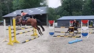 SUPER LEERZAME SPRINGLES! - #56 Romy van der Linden