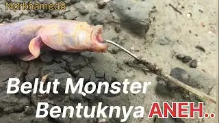 menjelang tahun baru 2025 strike belut aneh//UBLEK -UBLEK
