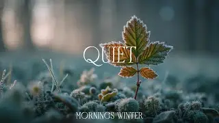 Worship Instrumental Music & Gentle Snowfall Ambience ~ Christian Meditation