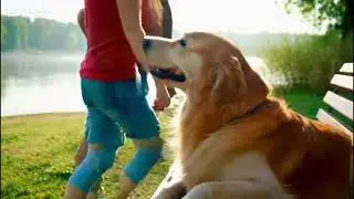 &ldquo;Not all heroes wear capes some have paws.&rdquo; #shorts  #DogSavesHuman #DogVideo