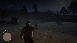 Red Dead Online timeline