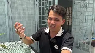 Trồng c&acirc;y tr&ecirc;n hộp lọc