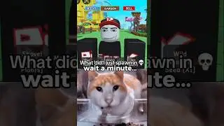 Wha whaaaa&hellip;. #helpmemakethismakesense #robloxmemes #memes